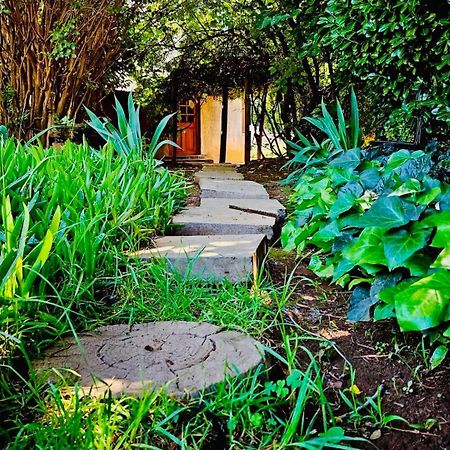 Bird Haven Guesthouse Hlotse Exterior photo